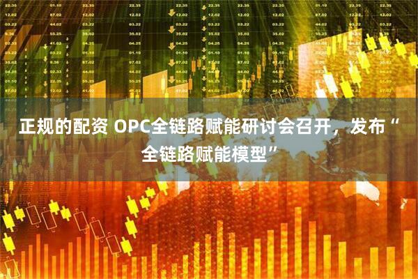 正规的配资 OPC全链路赋能研讨会召开，发布“全链路赋能模型”